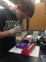 Image of middle school student doing laboratory work