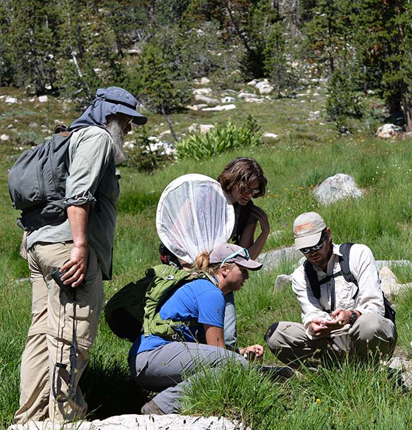 Photo of Sean Schoville leading a butterfly walk in Yosemite National Park