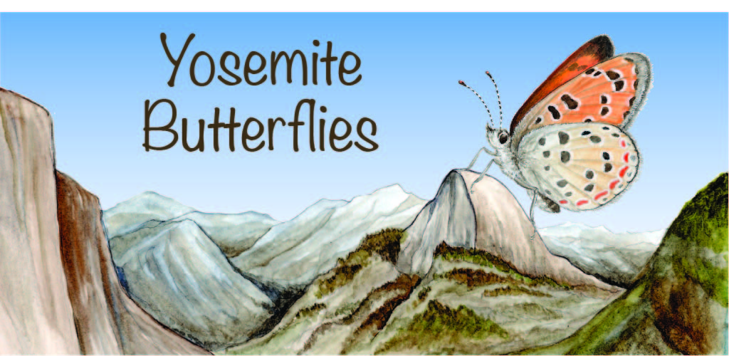 Large text that reads "Yosemite Butterflies" above a painting of mountains with larger-than-life butterfly standing on mountain.