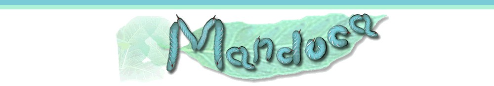Manduca sexta larva spelling the word Manduca