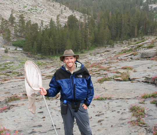Photo of Sean Schoville doing alpine butterfly fieldwork